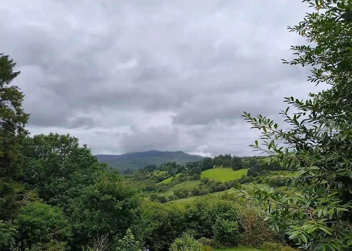 An Cabain Culu * Cill Airne